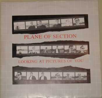 Plane of Section - Looking at Pictures of You  (1984)