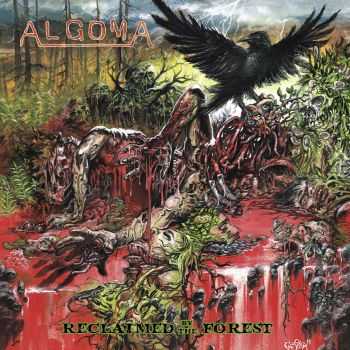 Algoma - Reclaimed by the Forest (2014)