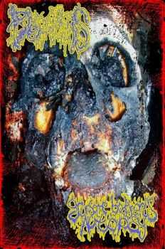 Gruesome Bodyparts Autopsy & Pyemesis - Split (2014)