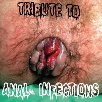 VA - Tribute To Anal Infections (Split) (2009)