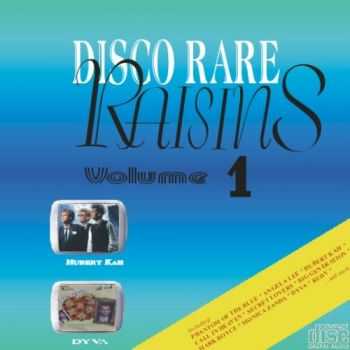 VA - Disco Rare Raisins Vol.1 (2004)