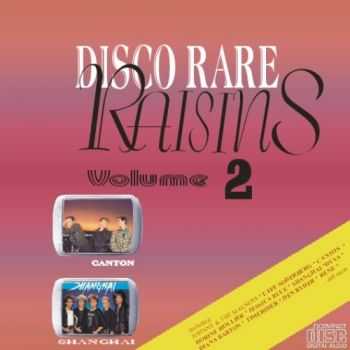 VA - Disco Rare Raisins Vol.2 (2004)