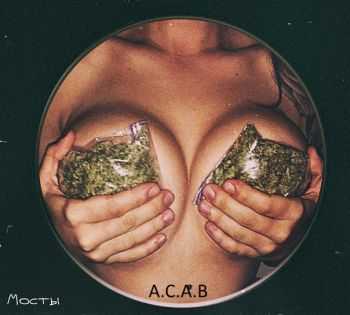   () - A.C.A.B (2015)