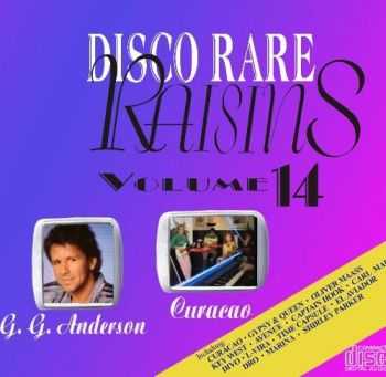 VA - Disco Rare Raisins Vol.14 (2007)