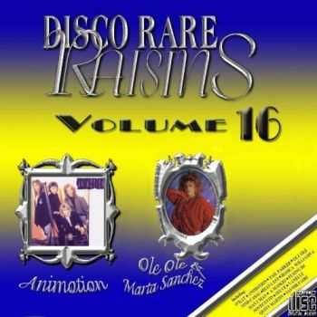 VA - Disco Rare Raisins Vol.16 (2009)