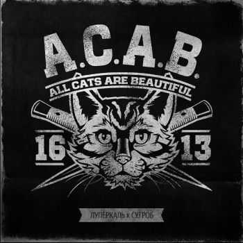 ft. . - All Cats Are Beautiful (2015)