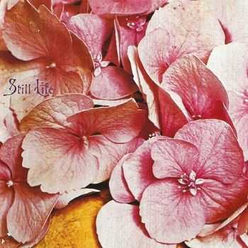 Still Life - Still Life [Reissue 1991] (1971)