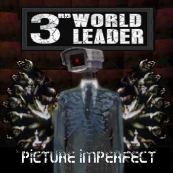 3rd World Leader - Picture Imperfect (2015)