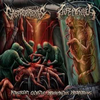 Gastrorrexis & Infectology - Putrescent Genetic Abnormalities Aberrations [Split] (2015)