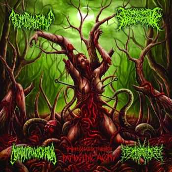 Fermented Masturbation & Decomposition Of Entrails & Morphogenetic Malformation & Needle Contaminated Pork - Impregnated Through Pathogenic Agony [Split] (2015)