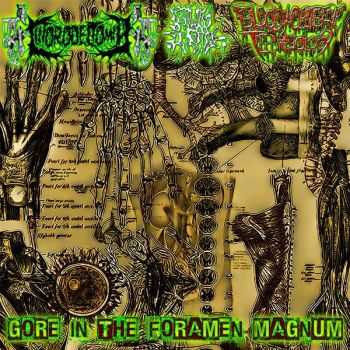 Clitorodectomia & Bloody Obstetric Technology & Cum Book - Gore In The Foramen Magnum [Split] (2015)