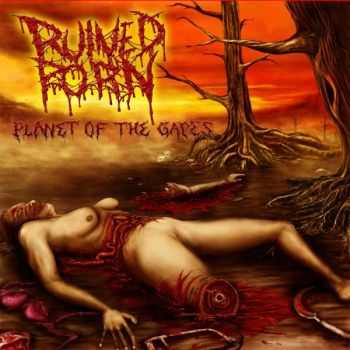 Ruined Porn - Planet Of The Gapes (2015)