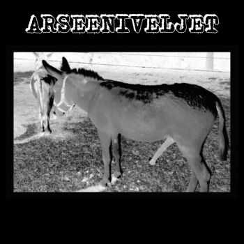 Arseeniveljet - Demo (2016)