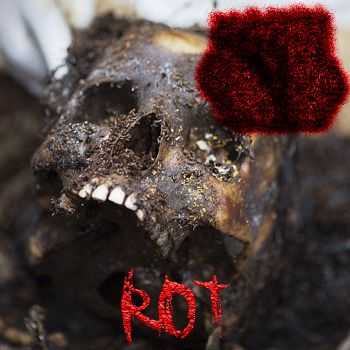 Skin Devouring Chaos - ROT (EP) (2016)