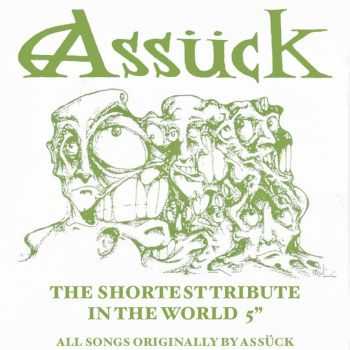 V.A. - Ass&#252;ck - The Shortest Tribute In The World 5" (2016)