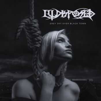 Illdisposed - Grey Sky Over Black Town (Deluxe Edition) (2016)