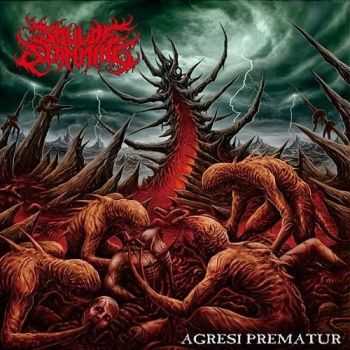 Soul Of Slamming - Agresi Prematur (2016)