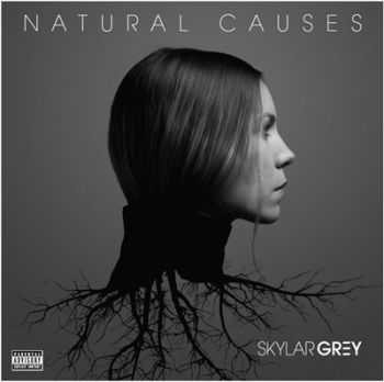 Skylar Grey - Natural Causes (320 Kbps) (2016)