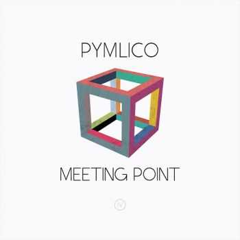 Pymlico - Meeting Point (2016)