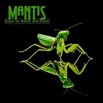 Mantis - Down On Hands And Knees (2017)