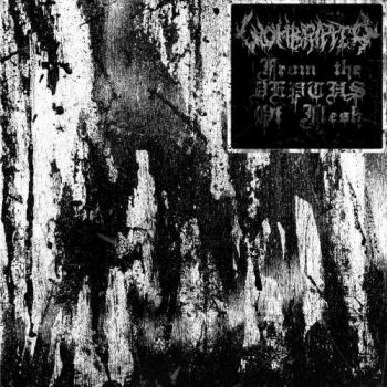 Wombripper - From The Depths Of Flesh (2018)