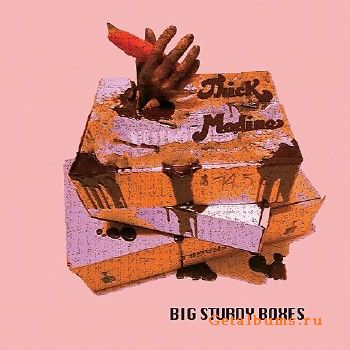 Thick Modine - Big Sturdy Boxes (2018)