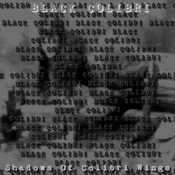 Black Colibri - Shadows Of Colibri Wings (2018)