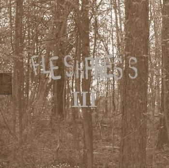 Fleshpress - III: The Art Of Losing All (2005)