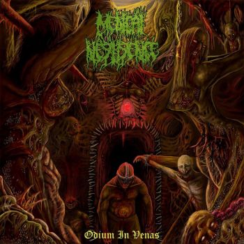 Medical Negligence - Odium In Venas (2017)