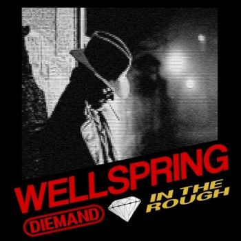 Diemand in the Rough - Wellspring (2019)