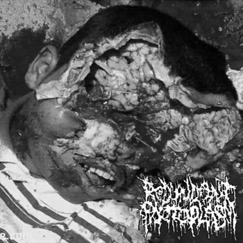 Redundant Protoplasm - Demo '19 (2019)