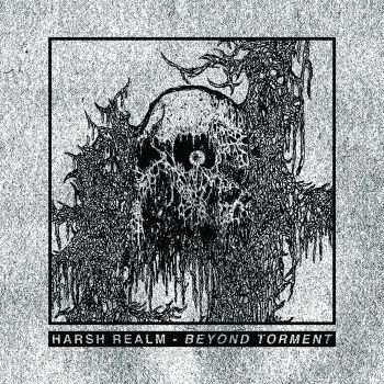 Harsh Realm - Beyond Torment (2019)