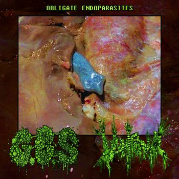 G.B.S. / Vomitoma - Obligate Endoparasites (2018)