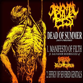 Abysmal Piss - Dead of Summer (2019 Promo) (2019)