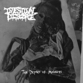 Intestinal Disgorge - The Depths of Madness (2019)