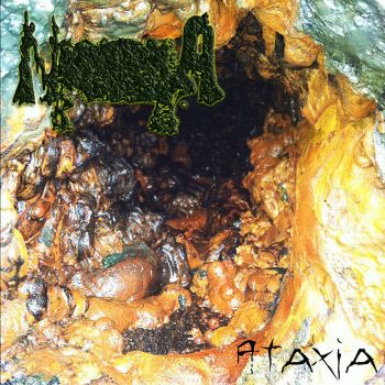 Naegleria Fowleri - Ataxia (2019)