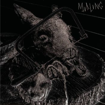 Mudlung - Neurodegenerative Consumption (2019)