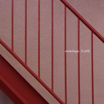 Moleslope - Slope (2019)