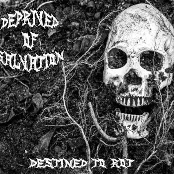 Deprived of Salvation - Destined to Rot (2019)