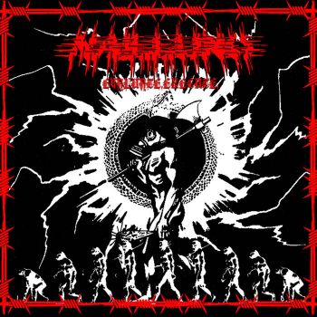 Naillung - Evaluate.Execute. (2019)