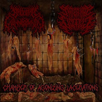 Backyard Cannibalism / Internal Vomit - Chamber of Agonizing Lacerations (2020)