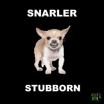 Snarler - Stubborn (2020)