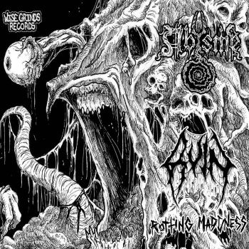 Ruin / Abysme - Rotting Madness (2020)