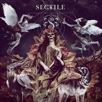 Sectile - Falls Apart (2020)