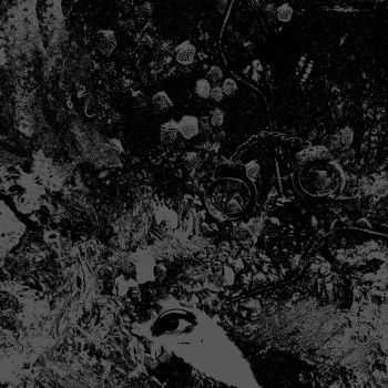 Primitive Man & Unearthly Trance - split (2018)