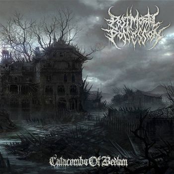 Post Mortal Possession - Catacombs of Bedlam (2020)
