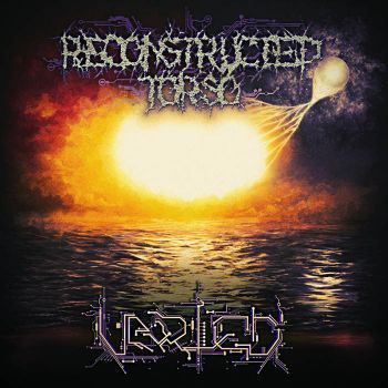Reconstructed Torso - Varied (2020)