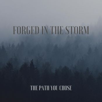 Forged In The Storm - The Path You Chose (2020)