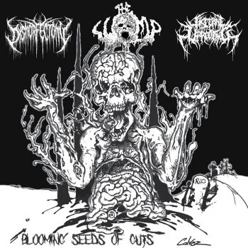Dysmorfectomy / The Lump / Visceral Uprooting - Blooming Seeds of Guts (2020)