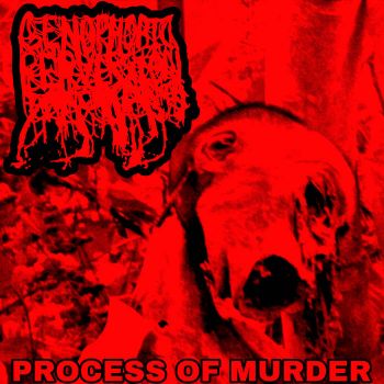 Genophobic Perversion - Process of Murder (2020)
